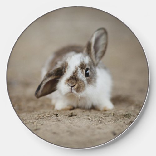 Cute Bunny Wireless Charger