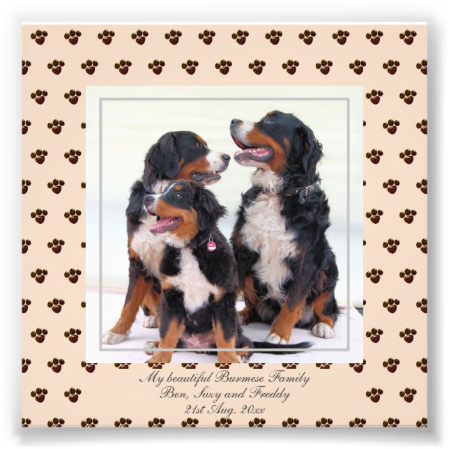 Cute Burmese Mountain Dogs PHOTO Named Keepsake Print (Front)