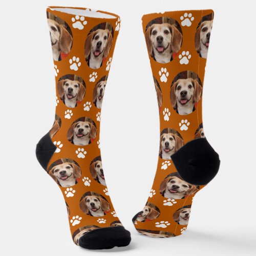 Cute Burnt Orange Pet Photo  Paw Prints Dog Cat Socks