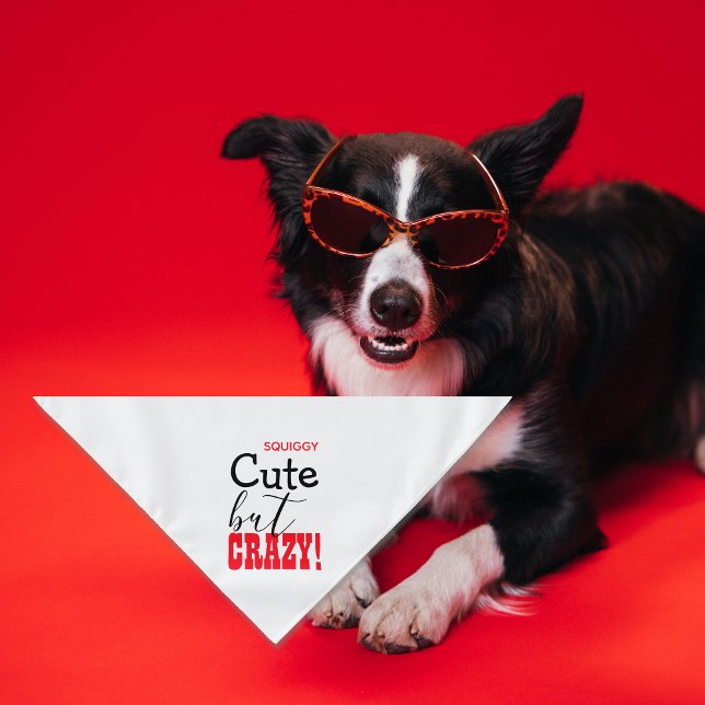 Cute but CRAZY! Text Personalized Pet Bandana (Creator Uploaded)