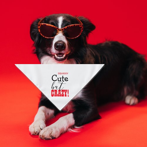 Cute but CRAZY Text Personalized Pet Name Dog Bandana