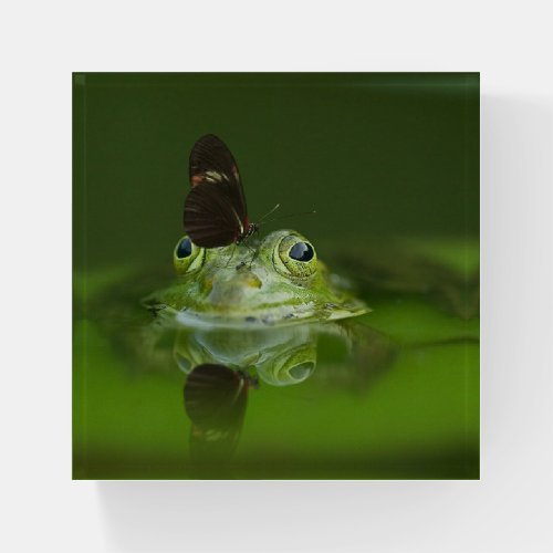 Cute Butterfly on Green Frog  Paperweight