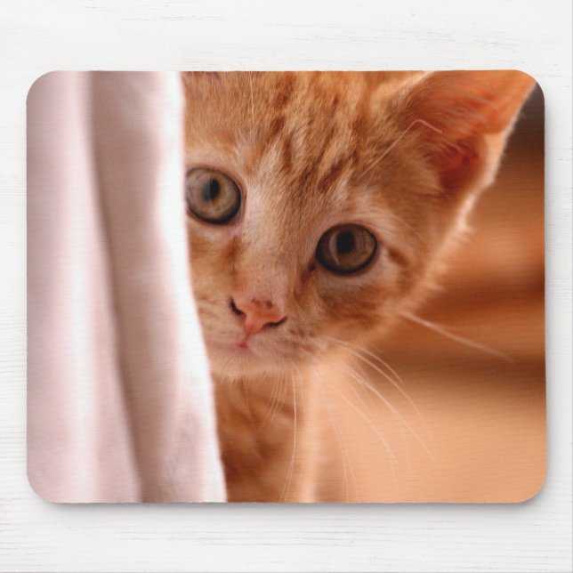 Cute Butterscotch Kitten Mouse Pad (Front)