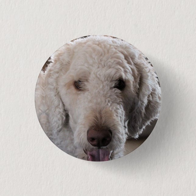 Cute     button (Front)