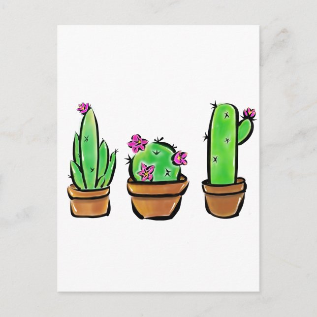 Cute Cactus cacti succulents  Postcard (Front)