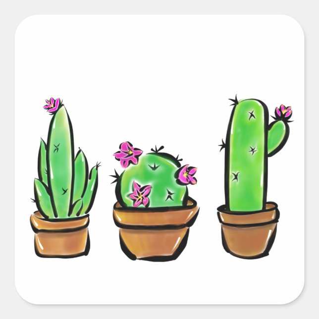 Cute Cactus cacti succulents  Square Sticker (Front)