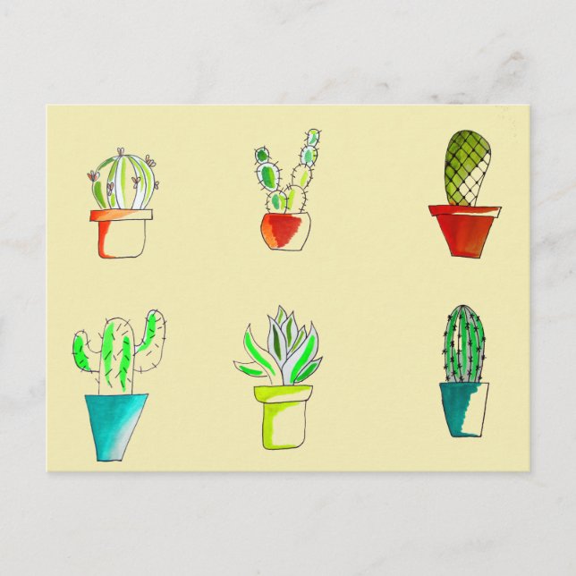 Cute cactus desert illustration postcard (Front)