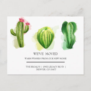 cute Cactus home moving Postcard