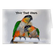 Cute Caique Parrot Pair Animal Card (Front Horizontal)