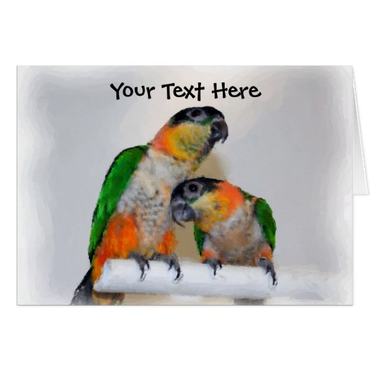 Cute Caique Parrot Pair Animal Card (Front Horizontal)