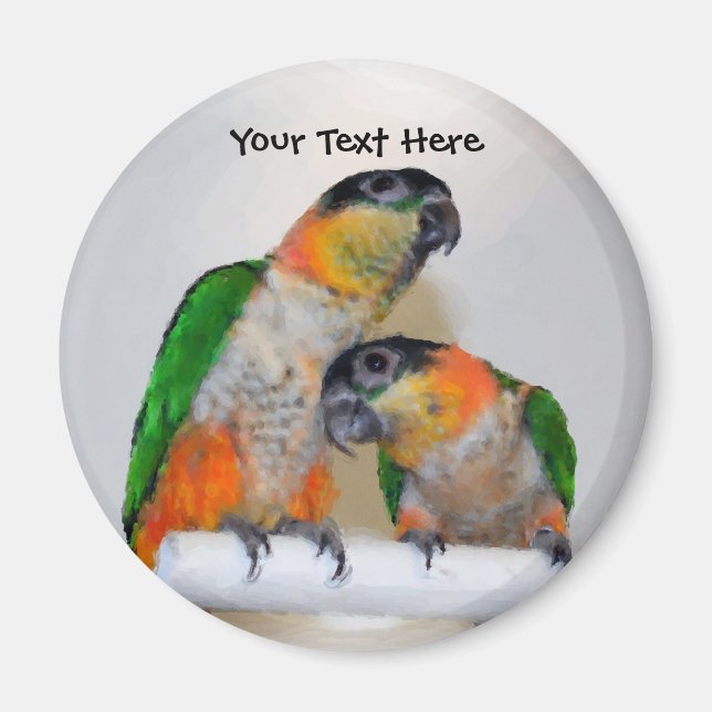 Cute Caique Parrot Pair Animal Magnet (Front)