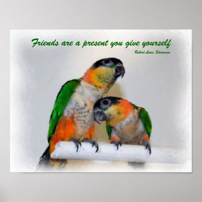 Cute Caique Parrot Pair Friends Quote Poster (Front)