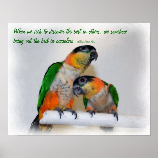 Cute Caique Parrots Inspirational Quote  Poster (Front)