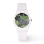 Cute Cairn Terrier Watch