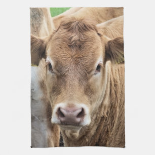 CUTE CALF KITCHEN TOWEL