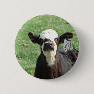 Cute Calf Pinback Button