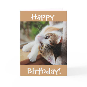 Cute Calico Cat Birthday Card, purr-fect day! Card