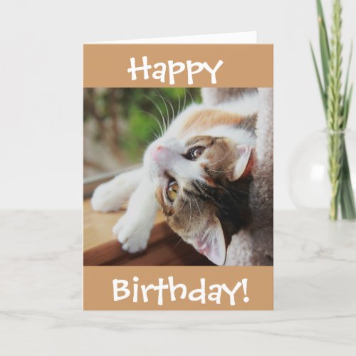 Cute Calico Cat Birthday Card purr_fect day Card