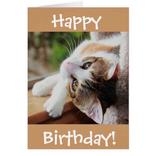 Cute Calico Cat Birthday Card, purr-fect day! Card | Zazzle.com