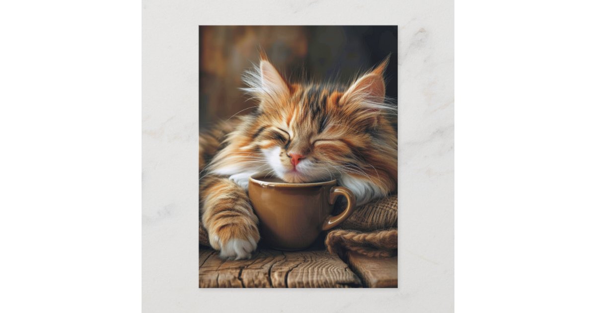 Cute Calico Cat Coffee Morning Postcard | Zazzle