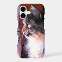 Cute Calico Cat Iphone 8s/7s Phone Case