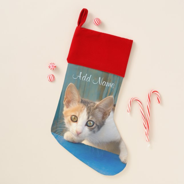Cute Calico Cat Kitten Funny Curious Eyes - Name - Christmas Stocking (Front)
