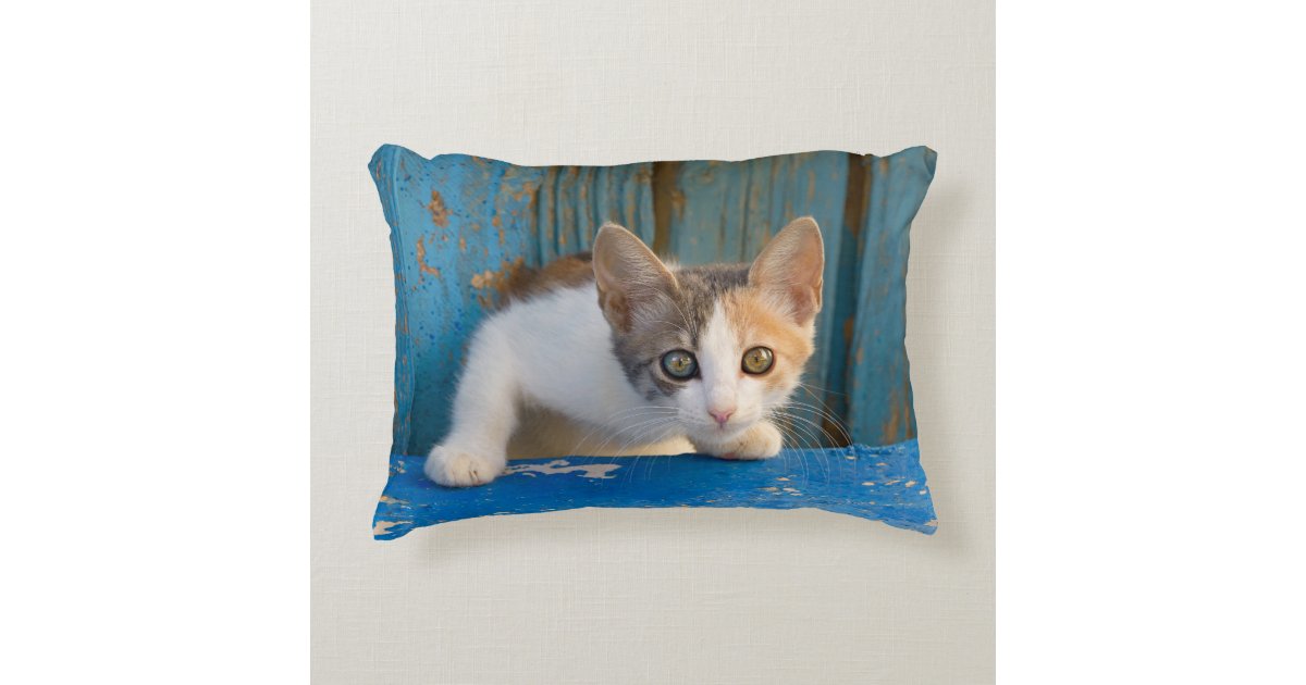 Cute Calico Cat Kitten Funny Curious Eyes Photo Accent Pillow