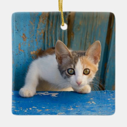 Cute Calico Cat Kitten Funny Curious Eyes Photo &#39;&#39; Ceramic Ornament