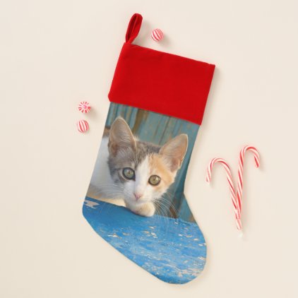 Cute Calico Cat Kitten Funny Curious Eyes Photo ** Christmas Stocking