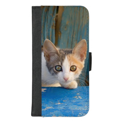 Cute Calico Cat Kitten Funny Curious Eyes Photo __ iPhone 87 Plus Wallet Case