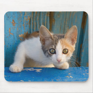 Cute Calico Cat Kitten Funny Curious Eyes Photo Mouse Pad