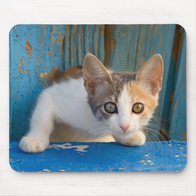 Cute Calico Cat Kitten Funny Curious Eyes Photo Mouse Pad (Front)