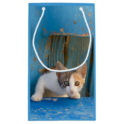 Cute Calico Cat Kitten Funny Curious Eyes Photo // Small Gift Bag