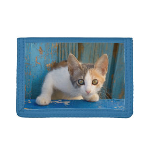 Cute Calico Cat Kitten Funny Curious Eyes Photo -- Tri-fold Wallet