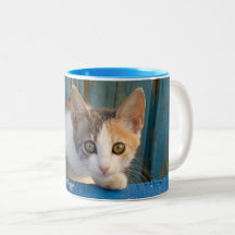 Curious Cat Mugs No Minimum Quantity Zazzle