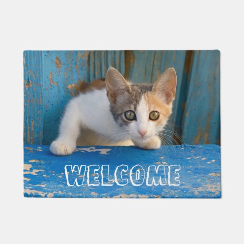 Cute Calico Cat Kitten Funny Curious Eyes  Welcome Doormat