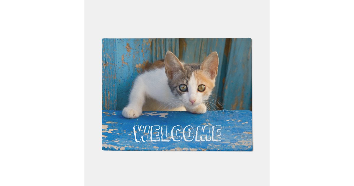 Cute Calico Cat Kitten Funny Curious Eyes Welcome Doormat Zazzle Com