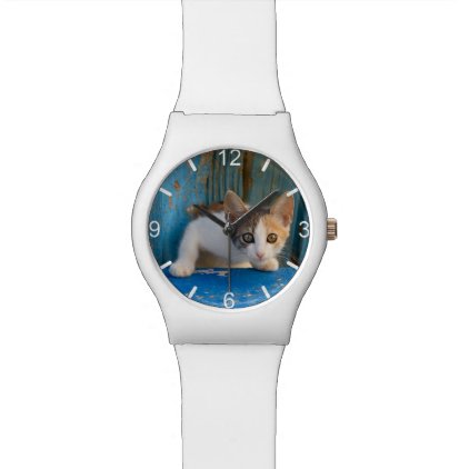 Cute Calico Cat Kitten Funny Eyes Photo dial-plate Wristwatch