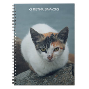 Cute Calico Cat Personalized Notebook
