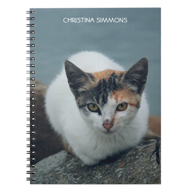 Cute Calico Cat Personalized Notebook (Front)
