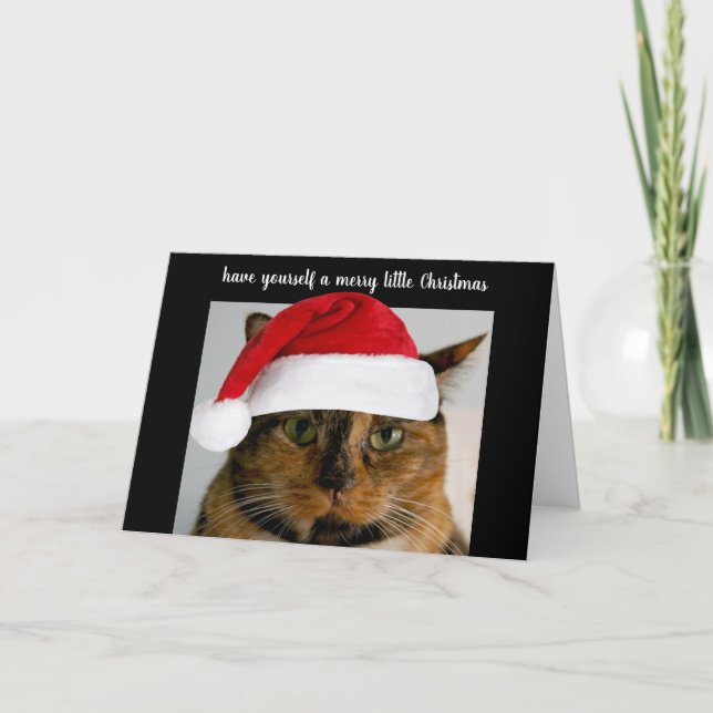Cute calico cat with Santa cap, personalized Holiday Card (Front)