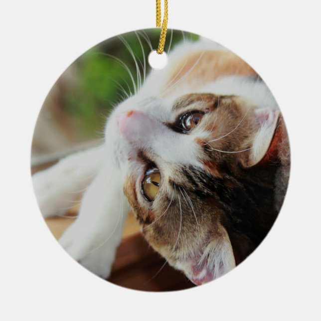 Cute Calico Kitten Christmas Ornament (Front)