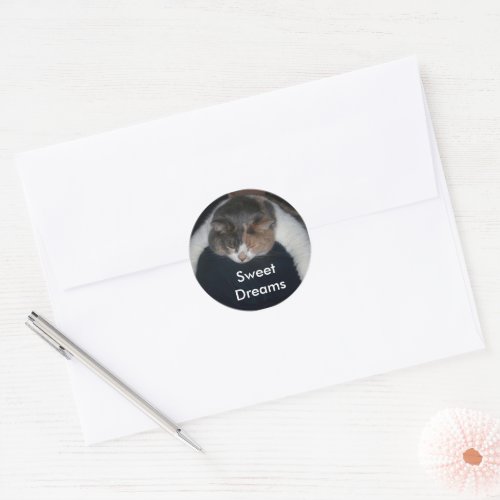 Cute Calico Sleeping Cat Over Shoulder Classic Round Sticker