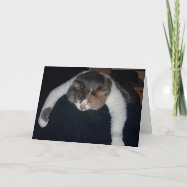 Cute Calico Sleeping Cat Over Shoulder Letterpress Thank You Card (Front)