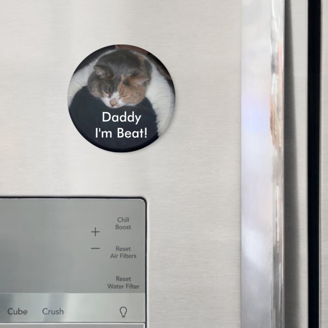 Cute Calico Sleeping Cat Over Shoulder Magnet (In Situ (Fridge))