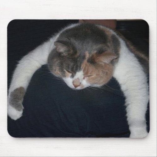 Cute Calico Sleeping Cat Over Shoulder Mouse Pad