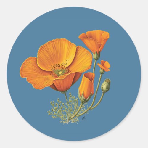 Cute California Poppy Flower Vintage Sticker Sheet