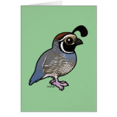 Cute California Quail (Front)