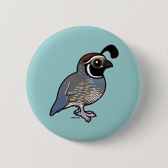 Cute California Quail Pinback Button (Front)