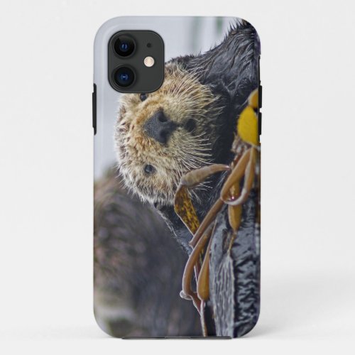 Cute California Sea Otter  Enhydra lutris iPhone 11 Case